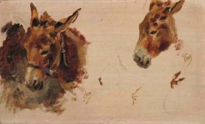 Studies of a donkey